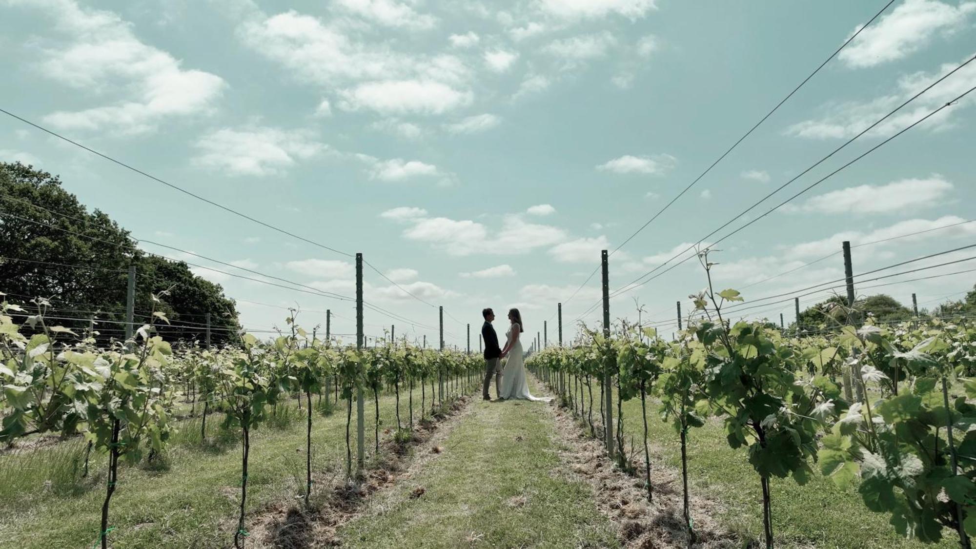 Willa Pinkmead Estate And Vineyard Osborne  Zewnętrze zdjęcie